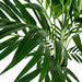 6'6" Soft-Touch Kentia Silk Palm Tree w/Pot -Green - A192550