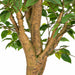 6' Artificial Plastic Ficus Tree w/Pot -1,280 Leaves -Green - A192680