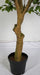 6' Artificial Plastic Ficus Tree w/Pot -1,280 Leaves -Green - A192680