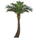11'6" Silk Coconut Palm Tree w/Metal Plate -Green - A192720
