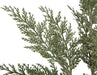 35" Glittered Artificial Cypress Stem -Green/Gold (Pack of 12) - A-193250