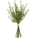 13" Artificial Thyme Herb Stem Bundle -Green (pack of 24) - A193400