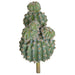 19" Plastic Barrel Cactus Artificial Plant w/Beige Needles -Light Green (Pack of 2) - A-193640