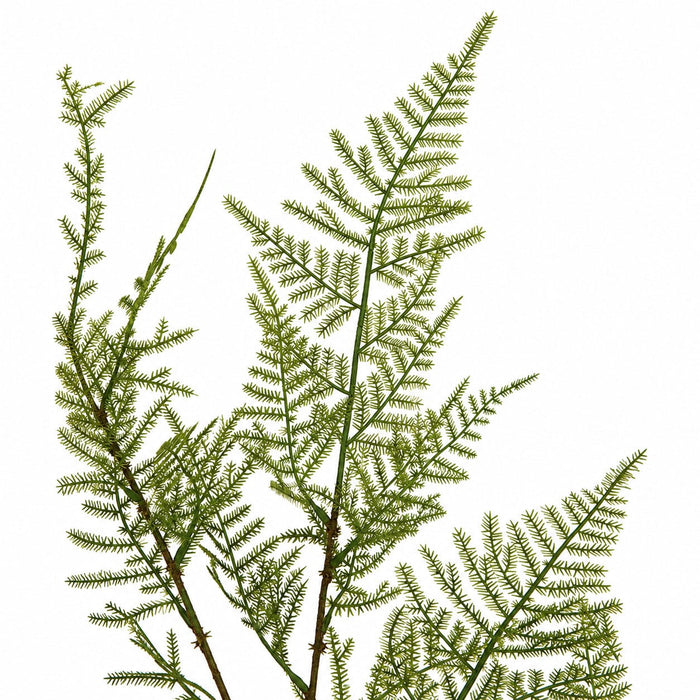 25" Hanging Artificial Bracken Fern Stem -Green (Pack of 12) - A193800