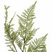 25" Hanging Artificial Bracken Fern Stem -Green (Pack of 12) - A193800