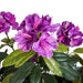 40" UV-Proof Outdoor Artificial Rhododendron Flower Bush -Purple/Lavender (pack of 2) - A19415-0PU