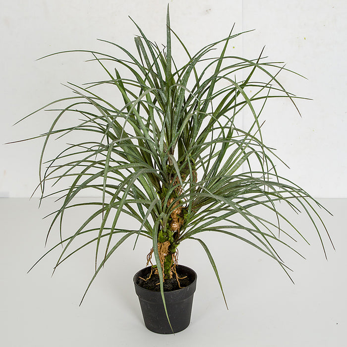 30" Artificial Plastic Sedge Grass Plant w/Pot -Powdered Green (pack of 2) - A195070