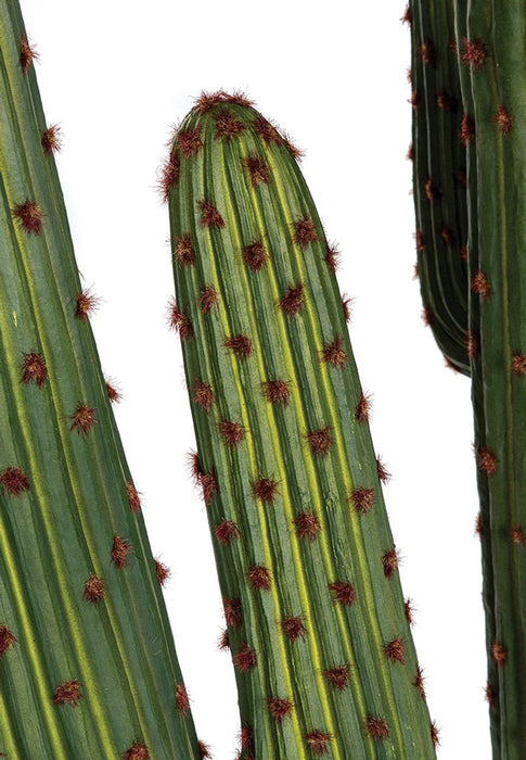 4'10" Plastic Saguaro Cactus Artificial Stem With Red/Brown Needles -Green - A-195610