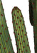 4'3" Plastic Saguaro Cactus Artificial Stem With Red/Brown Needles -Green - A195570