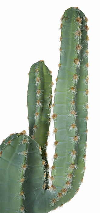 54" Plastic Saguaro Cactus Artificial Stem w/Beige Needles -Green - A195592