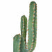 54" Plastic Saguaro Cactus Artificial Stem w/Beige Needles -Green - A195592