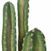 70" Plastic Saguaro Cactus Artificial Stem w/Beige Needles -Blue/Green - A195634