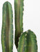 54" Plastic Saguaro Cactus Artificial Stem w/Beige Needles -Blue/Green - A195594