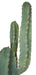 70" Plastic Saguaro Cactus Artificial Stem w/Beige Needles -Green - A195632