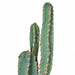 70" Plastic Saguaro Cactus Artificial Stem w/Beige Needles -Green - A195632