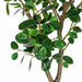 7' Soft-Touch Artificial Chinese Banyan Tree w/Pot -Green - A195640