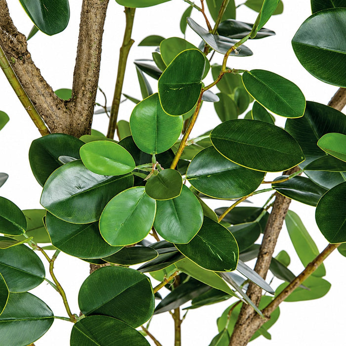 7' Soft-Touch Artificial Chinese Banyan Tree w/Pot -Green - A195640