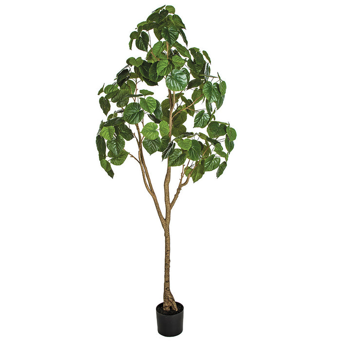 7' Real Touch Ficus Umbellata Silk Tree w/Pot -Green - A195650