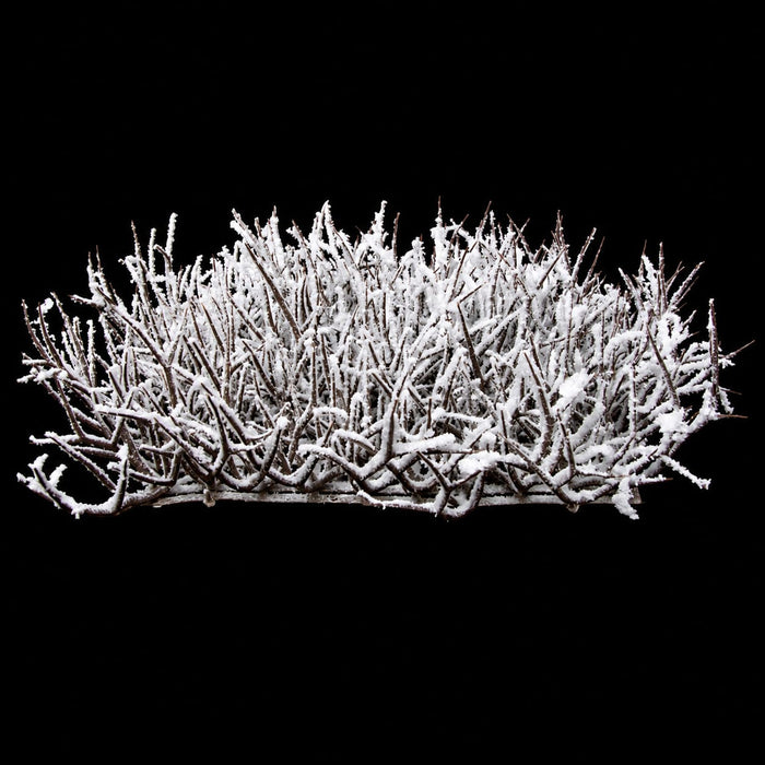15"x15"x4.5" Glittered & Flocked Artificial Twig Mat -White/Brown (Pack of 6) - A-195790