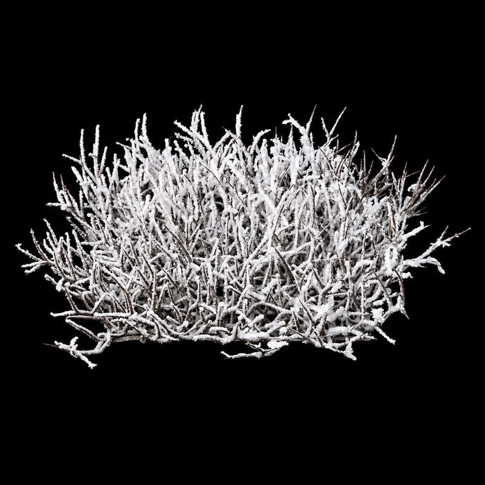 15"x15"x4.5" Glittered & Flocked Artificial Twig Mat -White/Brown (Pack of 6) - A-195790