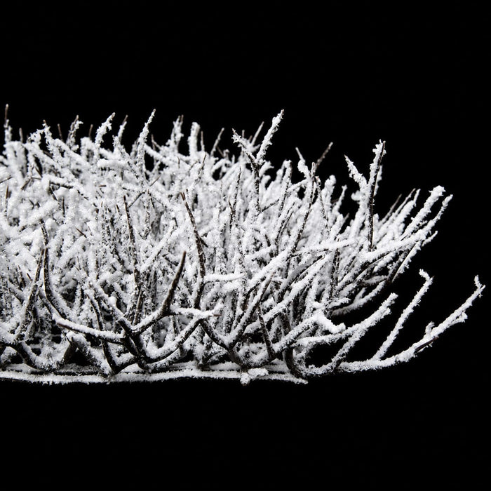 15"x15"x4.5" Glittered & Flocked Artificial Twig Mat -White/Brown (Pack of 6) - A-195790