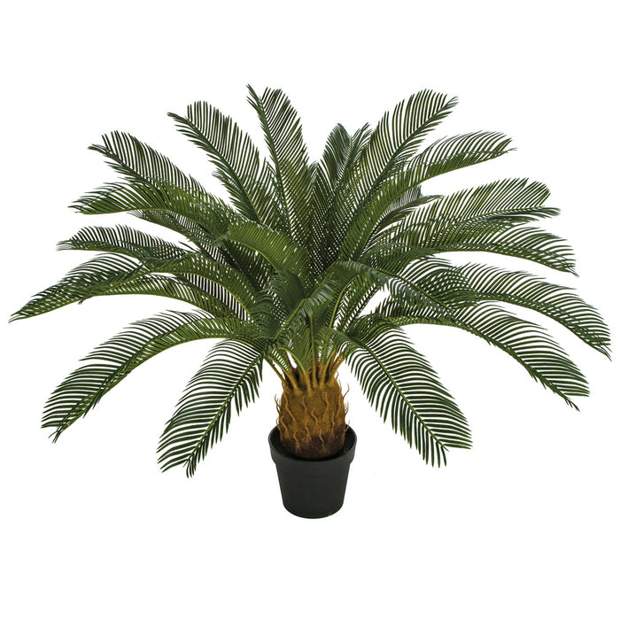 outdoor palm tree plant 36" Artificial Sago Cycas Palm Tree w/Pot -Green — Silks Are Forever