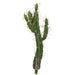21.5" Plastic Cactus Artificial Stem -Green (Pack of 6) - A-196030