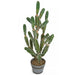 33" Artificial Cactus Plant With Light Needles w/Pot -Green/White - A-196050