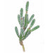 25" Plastic Finger Cactus Artificial Stem -Green/White - A-196060