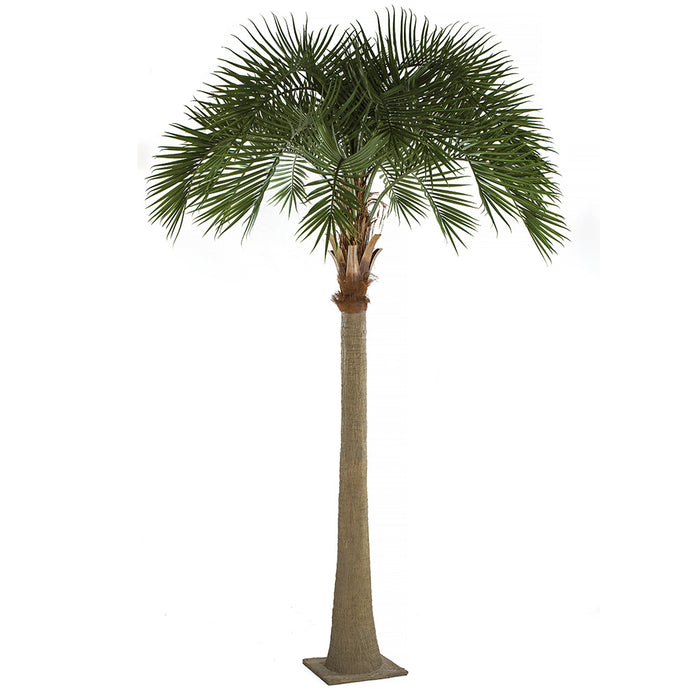 17' Royal Silk Palm Tree w/Metal Base Plate -Green - A196220