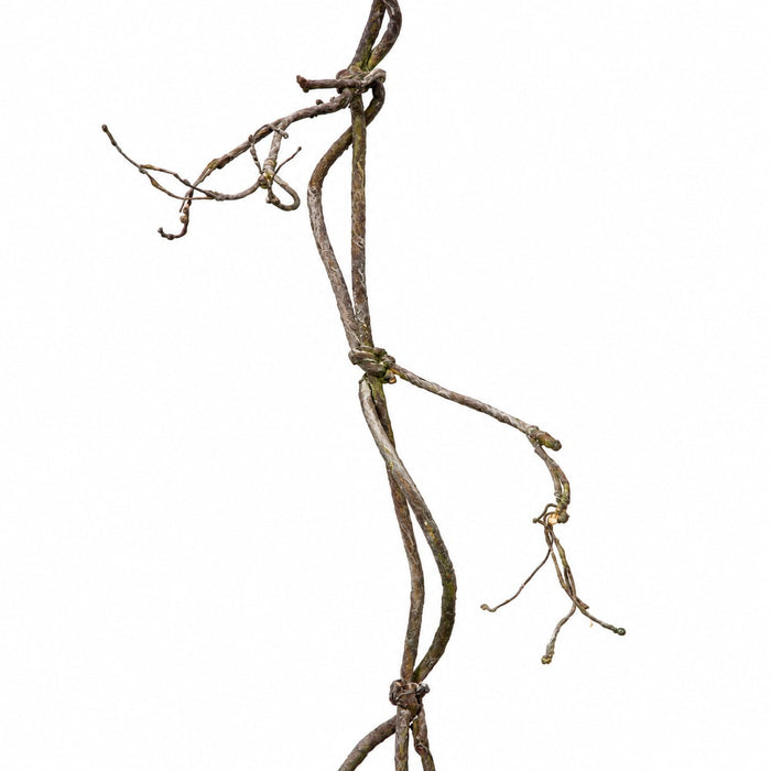 8' Artificial Twig Vine -Brown (Pack of 6) - A197340
