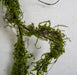 6' Moss Covered Twig Artificial Garland -Green (Pack of 6) - A-197360