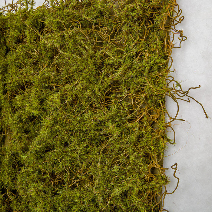 20"x20"x1" Moss Artificial Mat -Green/Brown (Pack of 6) - A-197460
