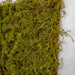 20"x20"x1" Moss Artificial Mat -Green/Brown (Pack of 6) - A-197460