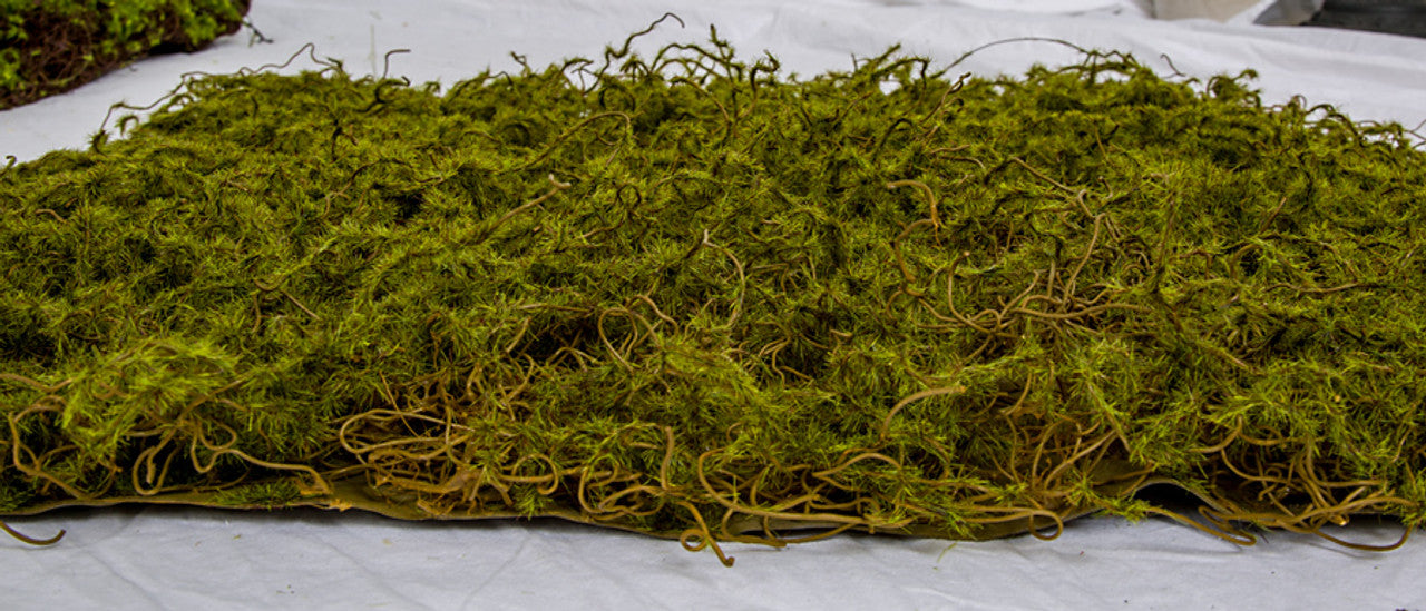 20"x20"x1" Moss Artificial Mat -Green/Brown (Pack of 6) - A-197460