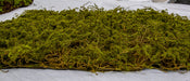 20"x20"x1" Moss Artificial Mat -Green/Brown (Pack of 6) - A-197460
