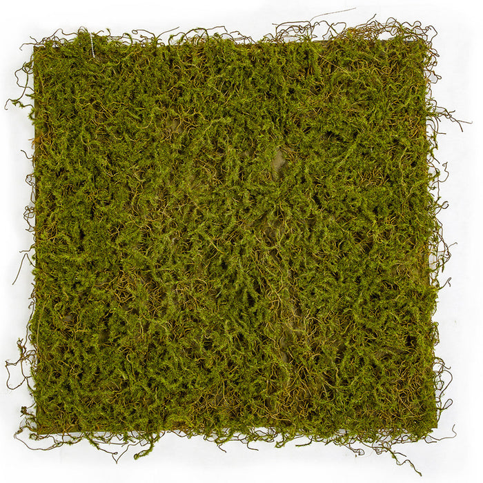 20"x20"x1" Moss Artificial Mat -Green/Brown (Pack of 6) - A-197460