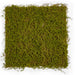 20"x20"x1" Moss Artificial Mat -Green/Brown (Pack of 6) - A-197460