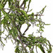 4'6" Moss Covered Twig Artificial Garland -Green (Pack of 6) - A-197472