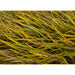 20"x20" Outdoor UV-Proof Artificial Autumn Dune Grass Mat -Yellow/Green (Pack of 2) - A-198032