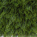 20"x20" UV-Proof Outdoor Artificial Button Fern Mat -Green (pack of 2) - A198220