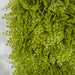 20"x20" UV-Proof Outdoor Artificial Button Fern Mat -Lime Green (pack of 2) - A198222