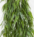 65" Outdoor UV-Proof Artificial Hanging Weeping Willow Branch Stem -2 Tone Green (Pack of 2) - A-200000