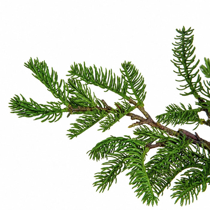 6' Soft-Touch Artificial Juniper Tree w/Galvanized Pot -Green - A-200300