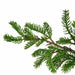 6' Soft-Touch Artificial Juniper Tree w/Galvanized Pot -Green - A-200300