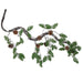 37" Snowed Artificial Twig Vine & Pinecone Stem -Green/White (pack of 4) - A201020
