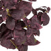 15" Basil Herb Silk Stem -Purple (Pack of 6) - A-201130