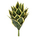 9" Sansevieria Snake Artificial Stem -Green/Cream (Pack of 6) - A-202410