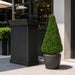 38"Hx20"W Outdoor UV-Proof Artificial English Boxwood Pyramid-Shaped Topiary -Green - A202750