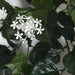 36" Outdoor UV-Proof Artificial Jasmine Flower Bush -White (Pack of 2) - A-234010